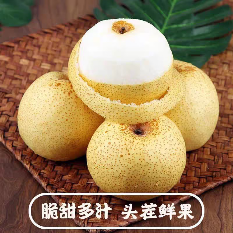 陕西酥梨当季新鲜梨子水果现货新鲜时令应季水果整箱 3.5斤精选装【严选级】净3斤