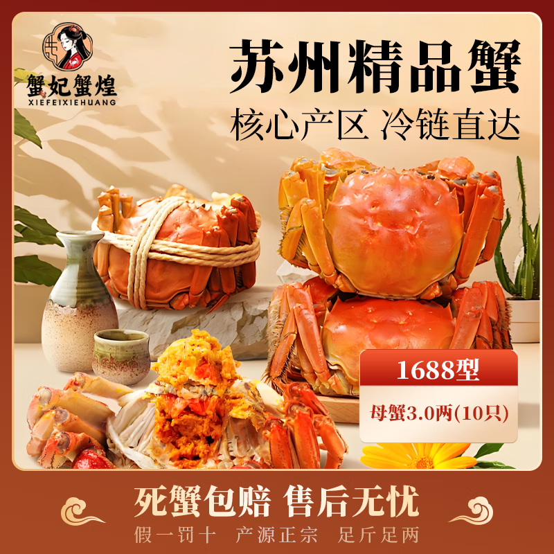 蟹妃蟹煌【活蟹】苏州精品大闸蟹鲜活螃蟹现货生鲜中秋礼盒源头直发 1688型 全母蟹3两 5对 10只