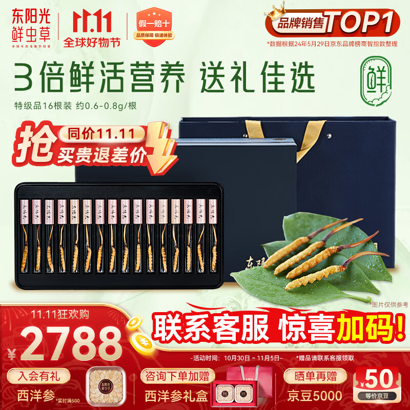 东阳光鲜虫草0.6-0.8g/根16根新鲜冬虫夏草补品送长辈老人源头直发包邮