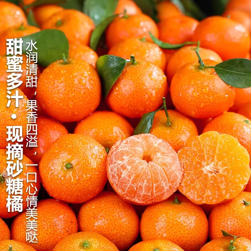 优味集砂糖橘【京东直送】新鲜广西蜜橘金柑橘小金桔子孕妇水果整箱包邮 5斤装 商超级4S大果