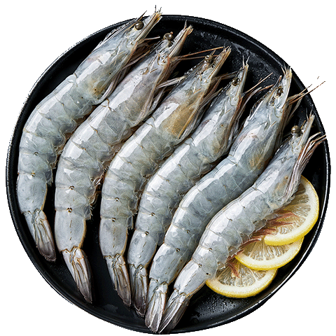 캣 Ϻ 66-82ֻ ϶Ϻ 1.65kg 99.99Ԫ