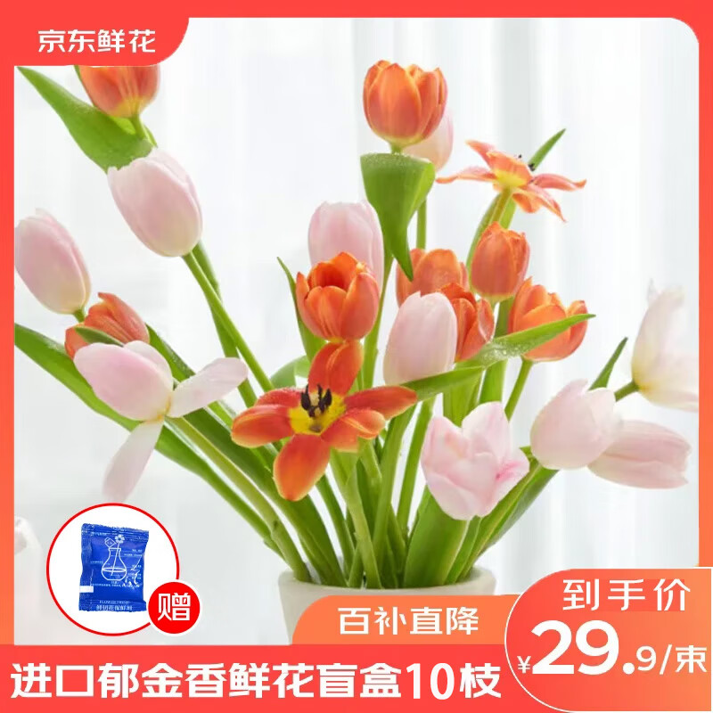 京东鲜花郁金香10枝教师节礼物教师节花鲜花花束玫瑰花向日葵源头直发