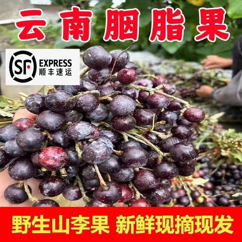 沐瑾云南胭脂果新鲜成熟上市德宏特有野果山李子鬼眼睛果 1斤