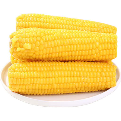 珍谷诱惑 25年新玉米 东北甜糯玉米棒 代餐粗粮零食 杂粮 真空黏玉米棒 黄糯玉米12支【单支180g以上】