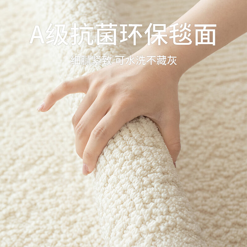 兴连心硅藻丝客厅地毯奶油风沙发茶几毯高级感防水防污免洗可擦卧室地垫 且听容音 300*400cm