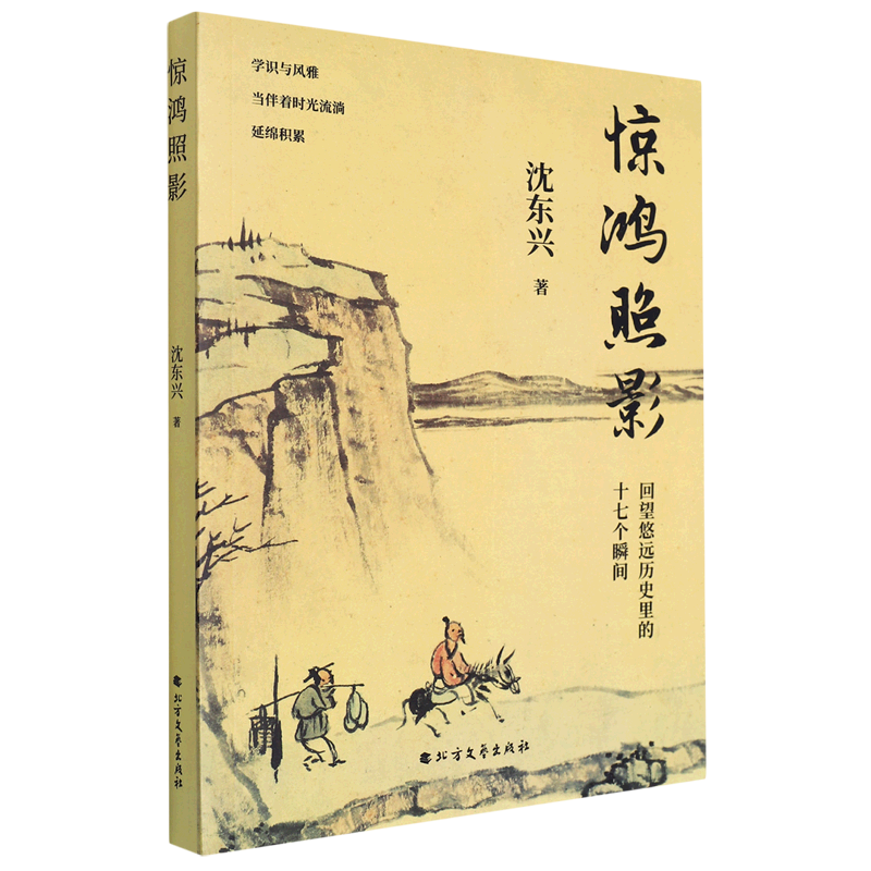 新华正版 惊鸿照影:回望悠远历史里的十七个瞬间 中国史