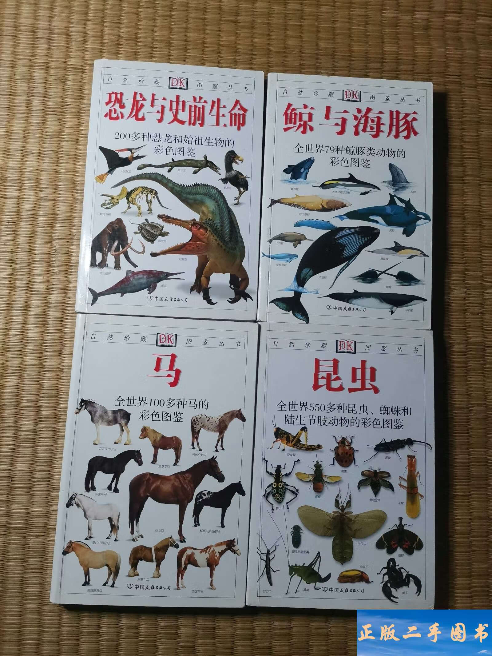 自然珍藏图鉴丛书 鲸与海豚:全世界79种鲸与海豚的彩色