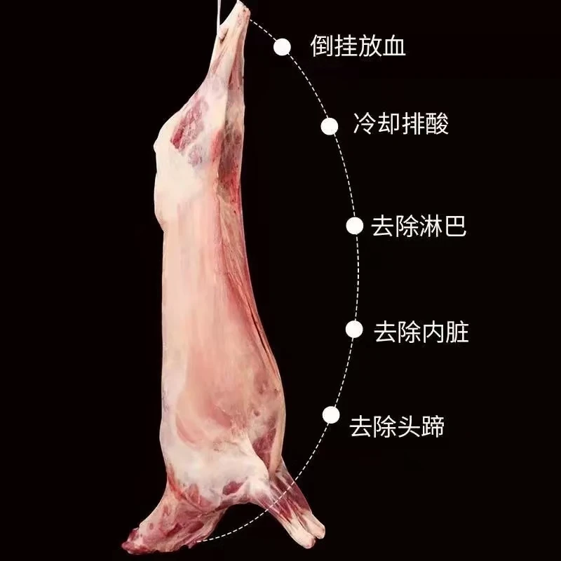 咏华春【整只全羊】新疆草原散养羔羊新鲜现杀阿勒泰大尾羊整羊腿烤全羊 新疆全羊40斤左右