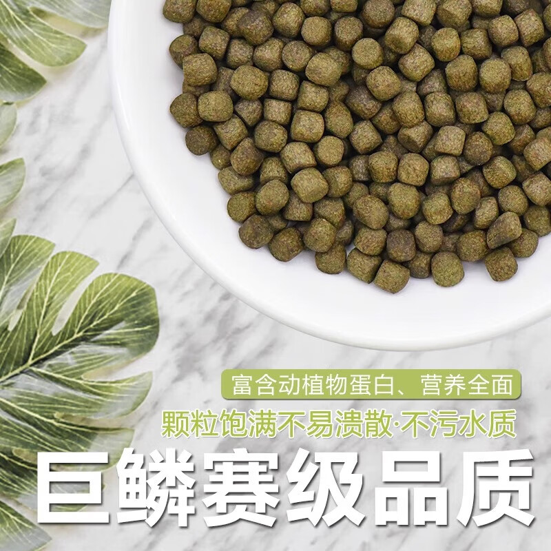 神阳巨鳞锦鲤鱼饲料高蛋白增色增体专用鱼粮赛级营养鱼食搭配套餐 育成1kg+艳红1kg M粒（快速成长增色）