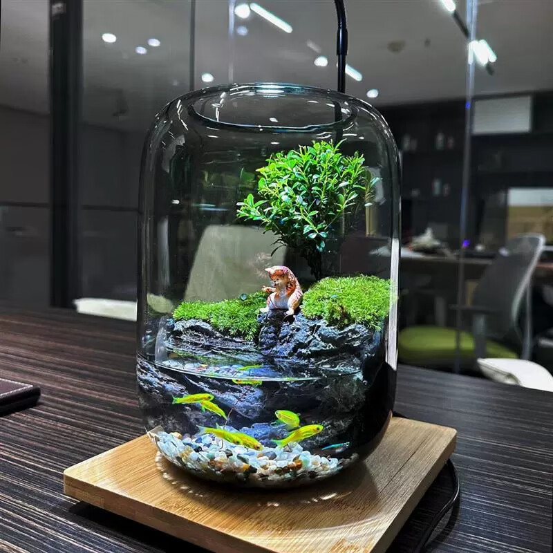 青苔壹品成品创意台藓微景观植物盆景办公室面绿植生态瓶缸盆栽 鸣竹神居+补光灯（套装）