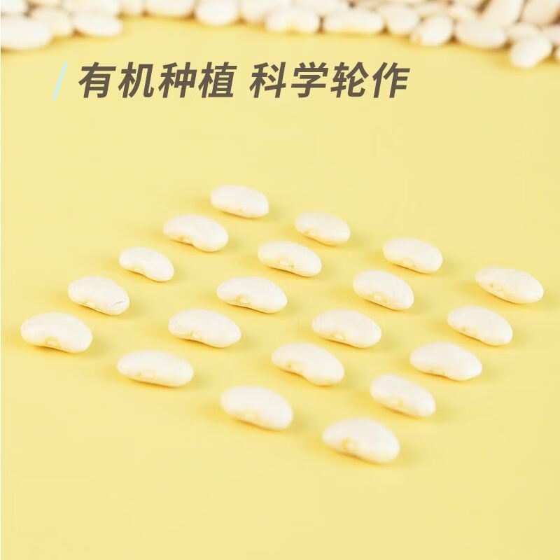素養(yǎng)生活有機(jī)小白蕓豆500g*2袋東北農(nóng)家白云豆冰皮月餅原料白腰豆 有機(jī)小白蕓豆 500g2袋