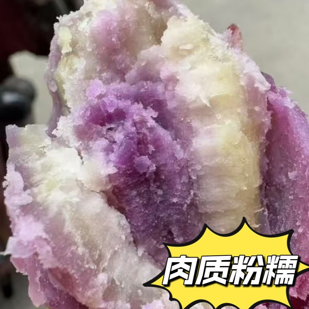 茂名新鲜冰淇淋红薯3-9斤粉面口杂粮产地直发新鲜现货可水培红薯 冰淇淋红薯中薯5斤 单果约2-8两之间