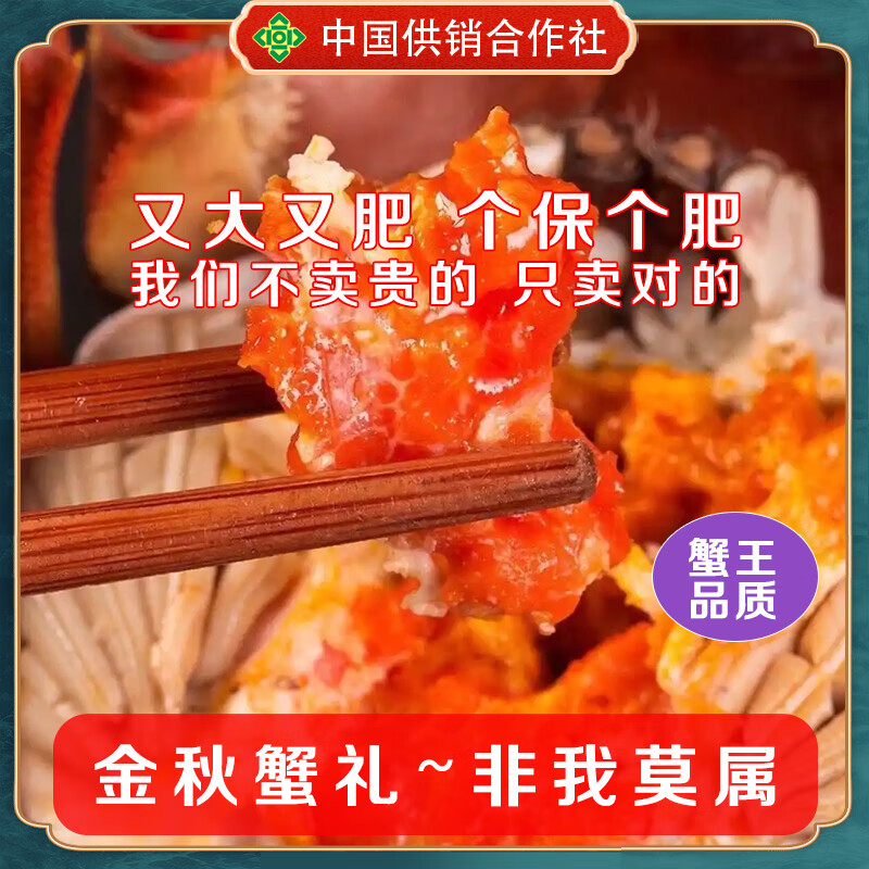 稻田河蟹鲜活【活蟹】盘锦稻田蟹 手工挑选无绳净重顺丰特快包邮 全母蟹丨1.4-1.6两【礼盒装】12只