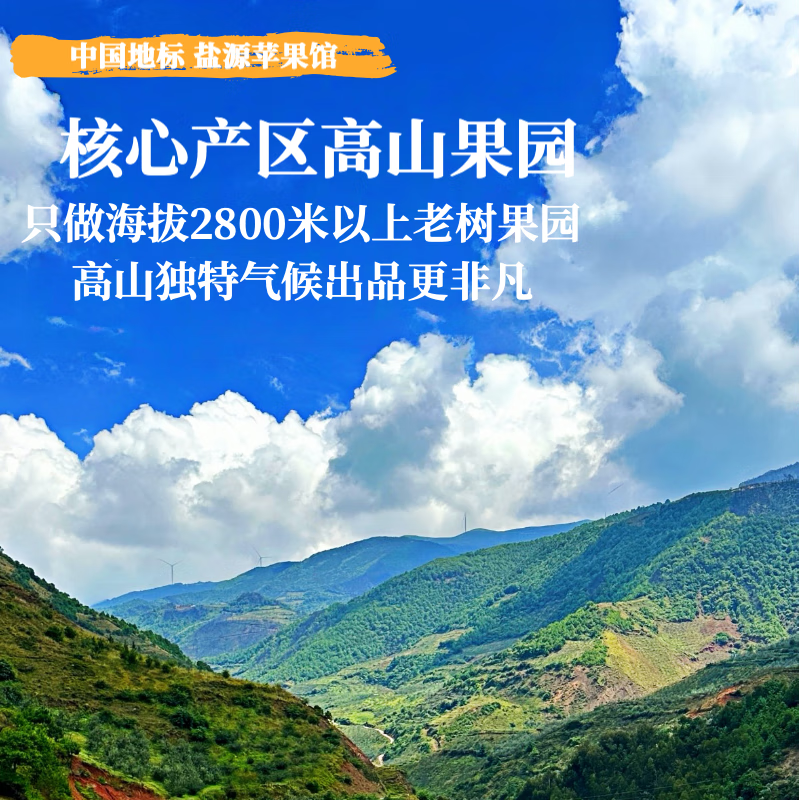 【盐源苹果馆】高山老树果大凉山丑苹果盐源苹果冰糖心苹果 24枚中大果 净重8斤+（75-80mm)
