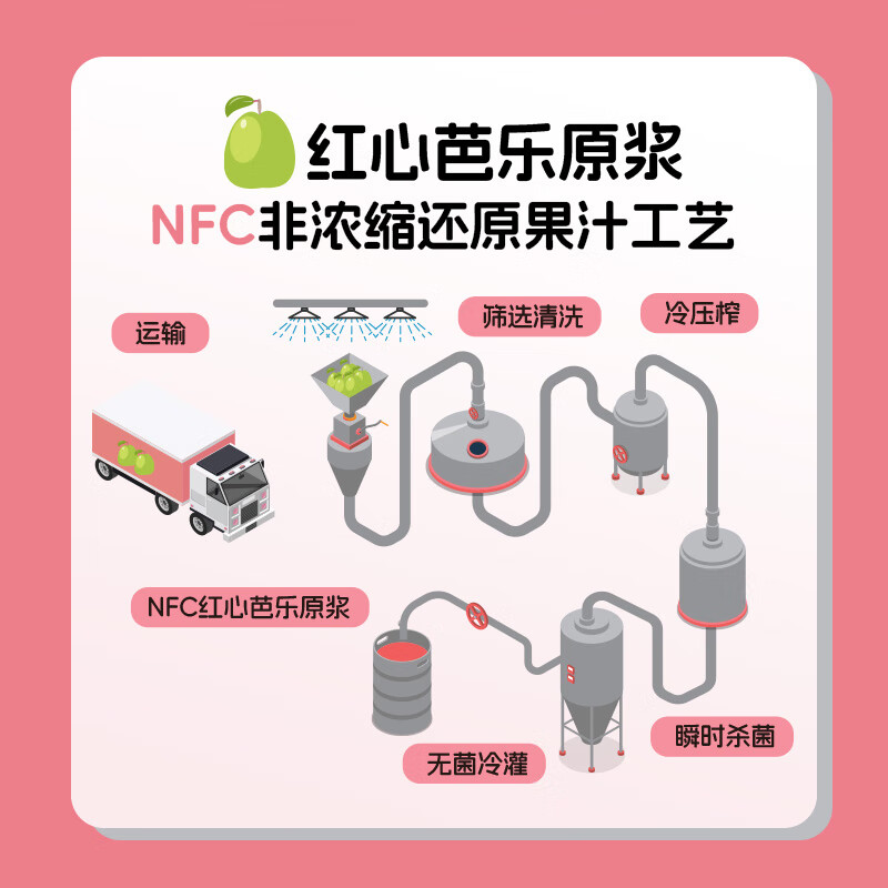 森汽了舌尖推荐原产果汁型汽水黄皮芭乐沙糖桔解腻低糖饮料复合果汁NFC 芭乐气泡饮330ml*12罐【特惠装推荐】