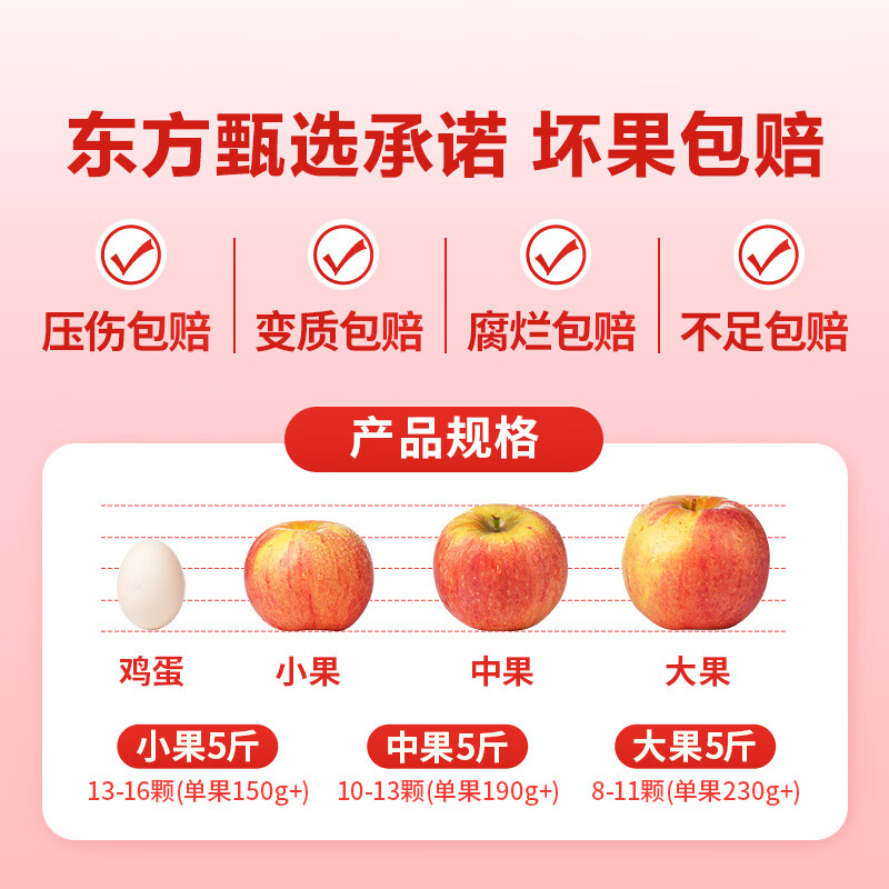 东方甄选新疆阿克苏苹果冰糖心脆甜爽口多汁新鲜应季水果坏果包赔过年年货 【5斤装中果】约10-13个 单果190g+