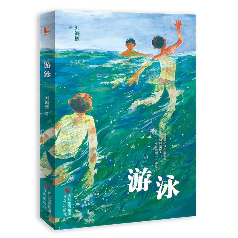 游泳（2022百班千人暑期书单 四年级推荐阅读 大奖作家刘海栖首部运动主题儿童文学新作）怎么看?