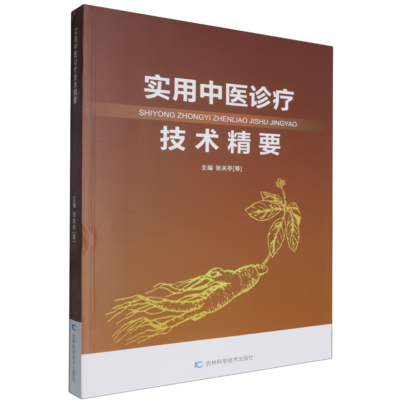 实用中医诊疗技术精要