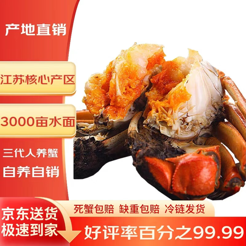 【活蟹】（网兜蟹）洪泽湖大闸蟹鲜活螃蟹 公母混3斤装15-20只