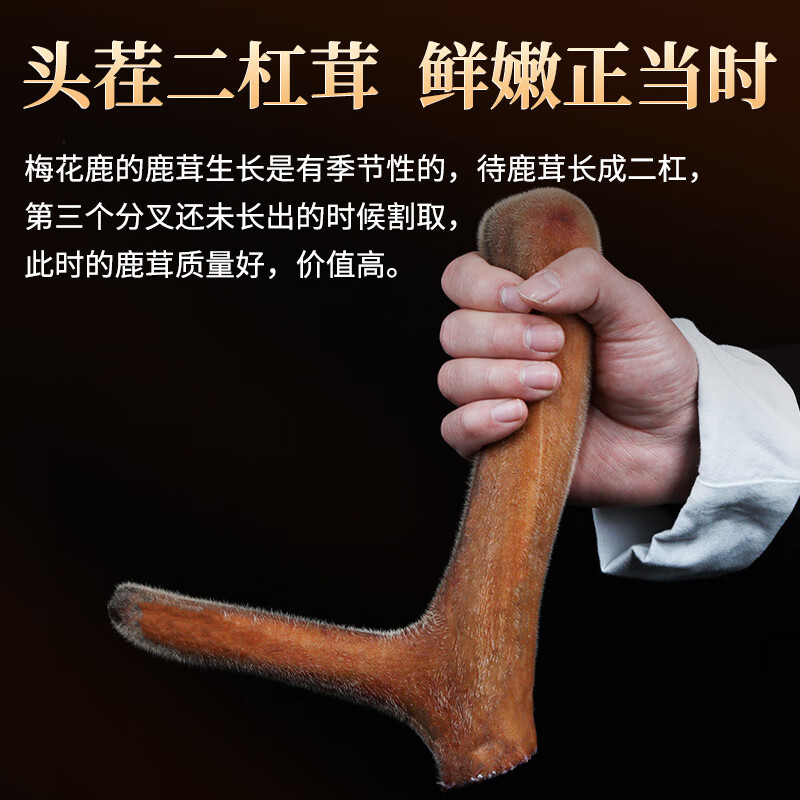 敖东 梅花鹿鲜鹿茸段100克新鲜带血煲汤泡酒男性养生滋补品顺丰包邮