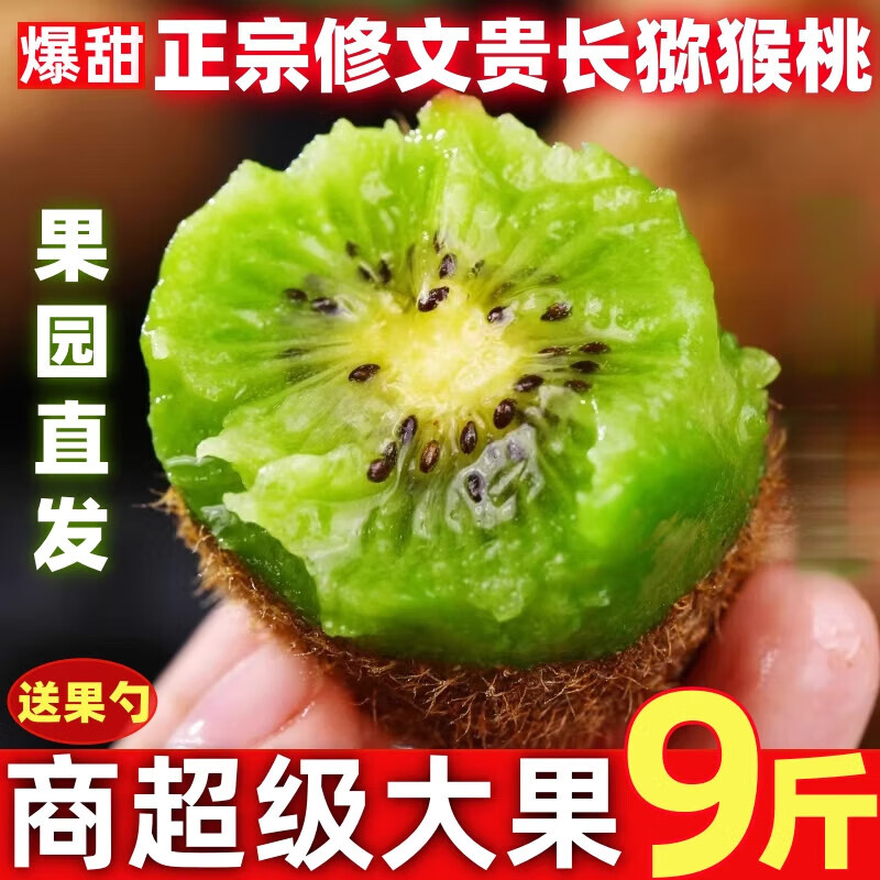 果益寿正宗贵州修文贵长猕猴桃现摘当季新鲜孕妇水果绿心奇异果5斤礼盒 12枚礼盒装 中果70g(含)-90g(不含)