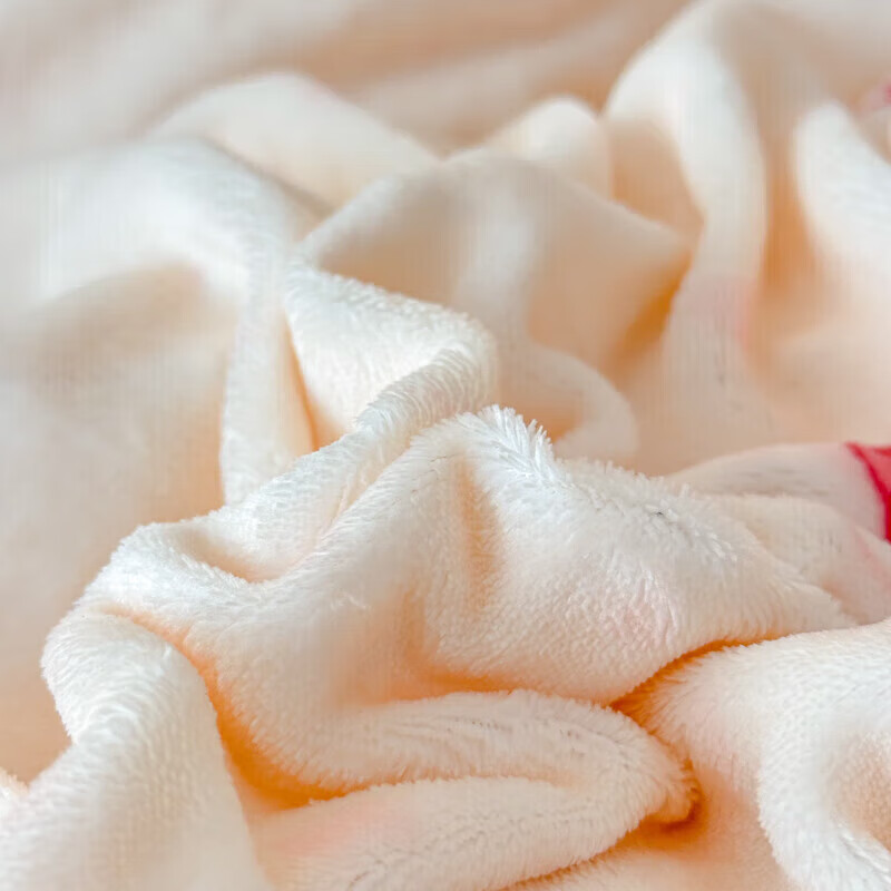 软贝小清新牛奶绒床上四件套保暖毛绒床单被套学生宿舍秋冬款三件套 蝴蝶结 床单款 2.0m 被套200*230cm 四件套