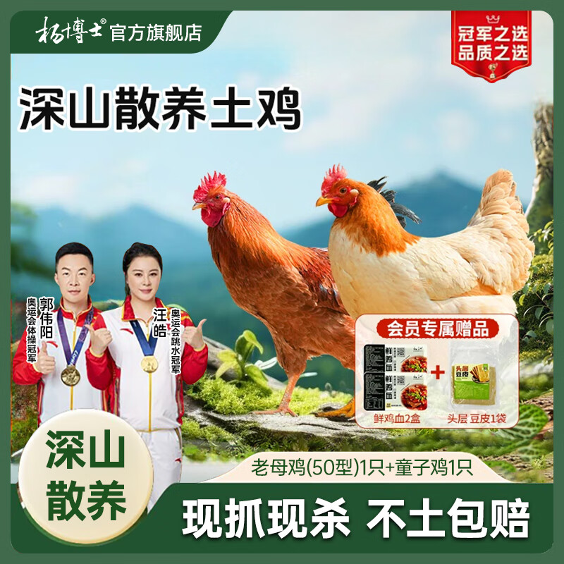 杨博士皖南散养仔公鸡1只 净重1.3斤及以上 未打鸣童子鸡三黄鸡源头直发 童子鸡+50型老母鸡