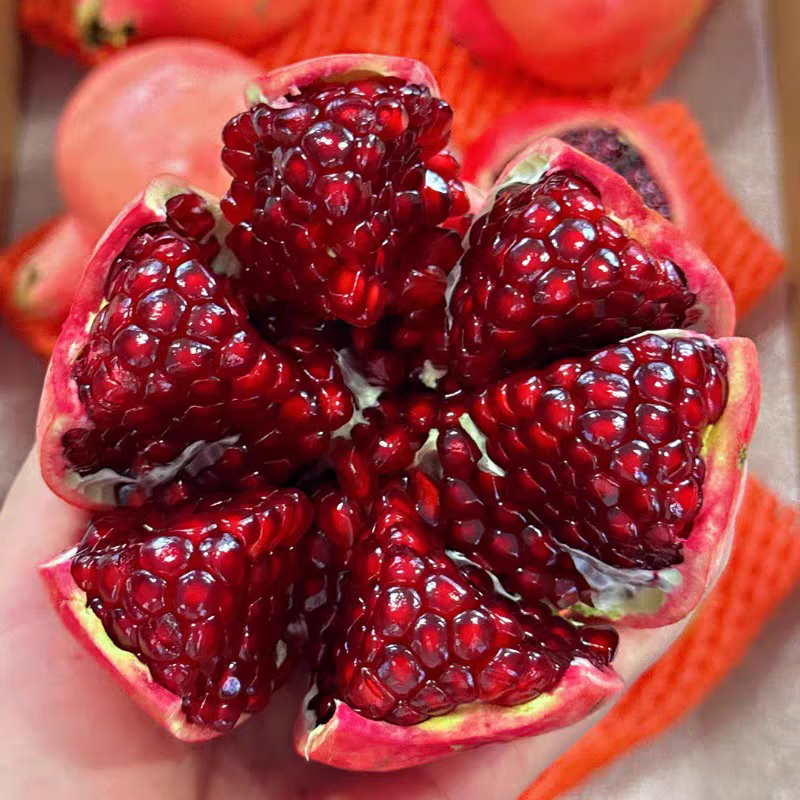 ¹���½�����Ƥ����ʯ���ز�ˮ�����ʵ���������ѳ�ʯ���ݾ�ʱ������ ��ѡ��� 5�� 95.5Ԫ