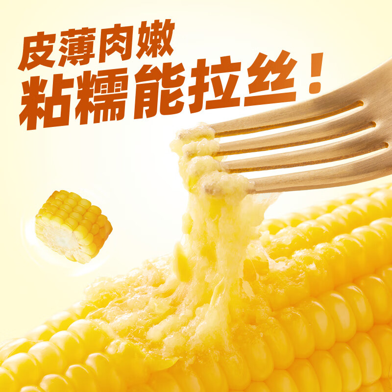 中果农茂东北黄糯玉米棒【2025年新玉米】新鲜甜糯玉米棒代餐轻食真空包装 白糯玉米段 7-8段【净重1KG】