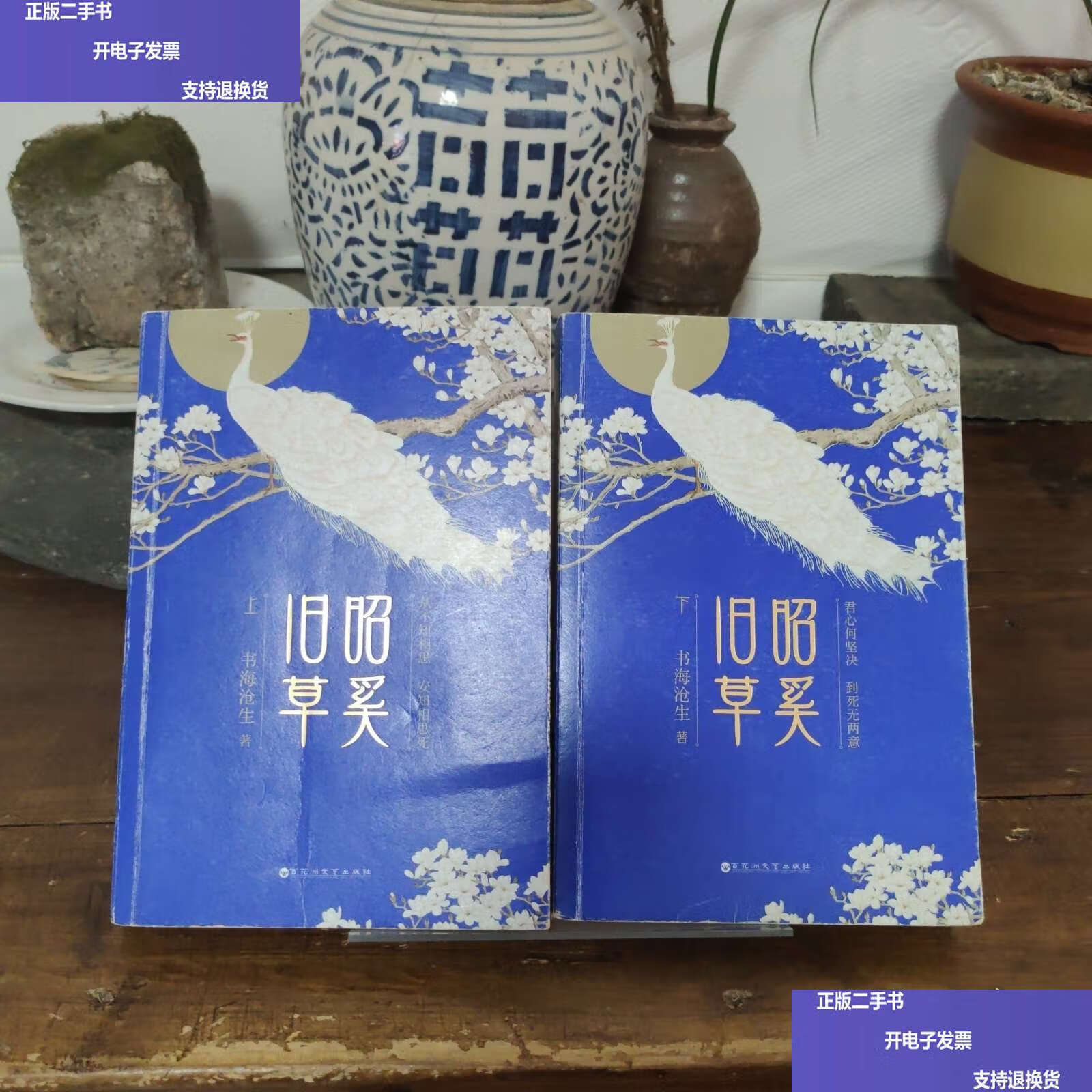 昭奚旧草上下 /书海沧生 百花洲文艺