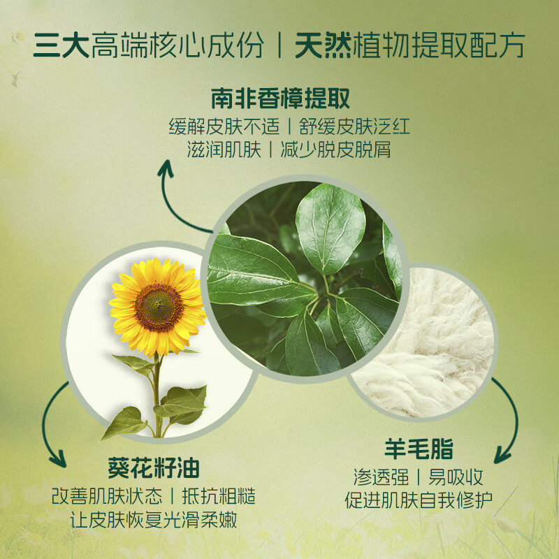 INGRAM'S英格莱恩南非小绿膏护足霜脚后跟干裂秋冬防皲裂手裂香樟草本精华 香樟草本乳霜150ml*1瓶