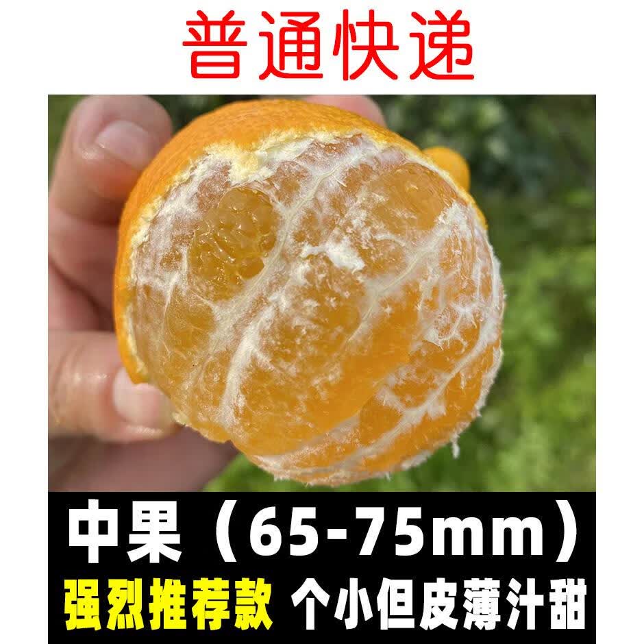 四川眉山爱媛38号果冻橙正宗新鲜当季大果现摘水果甜手剥橙子 65mm-74mm 5斤