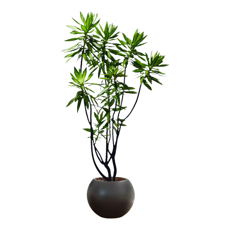 �����ؼ��ٺ��������ֲ�����ڸ߼�����׮�������ݺ�������ش������� ���콢��ٺ���1.3-1.5m+��ɫԲ���� 286.92Ԫ