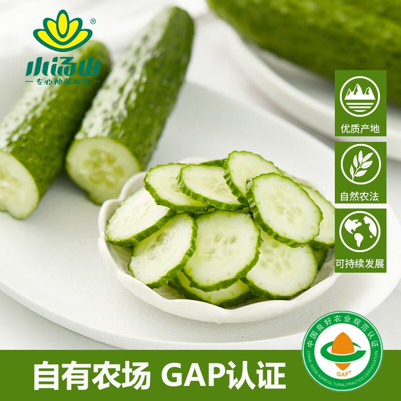 小汤山 黄瓜 320g 基地直供新鲜蔬菜GAP认证