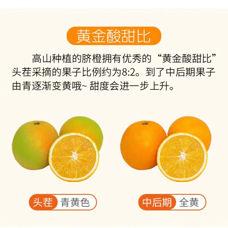 东鲜丰 赣南脐橙 江西橙子新鲜现摘水果脐橙时令生鲜水果甜橙 净重4.5斤精品果【70-80mm】