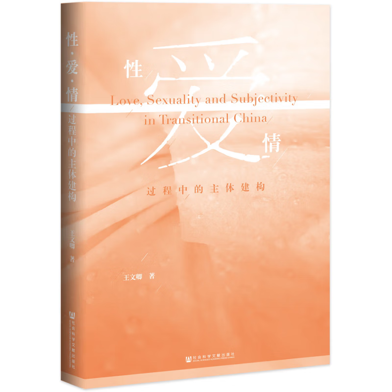 性爱情过程中的主体建构 王文卿 社会科学文献出版社 性爱情过程中的主体建构