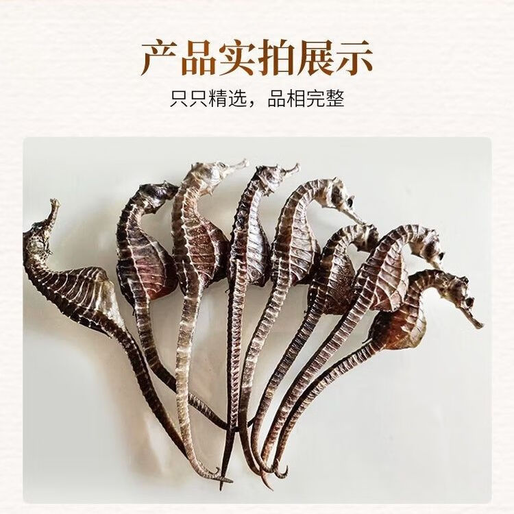 dl海马药材泡酒代购干货中100g约100只煲汤小中药