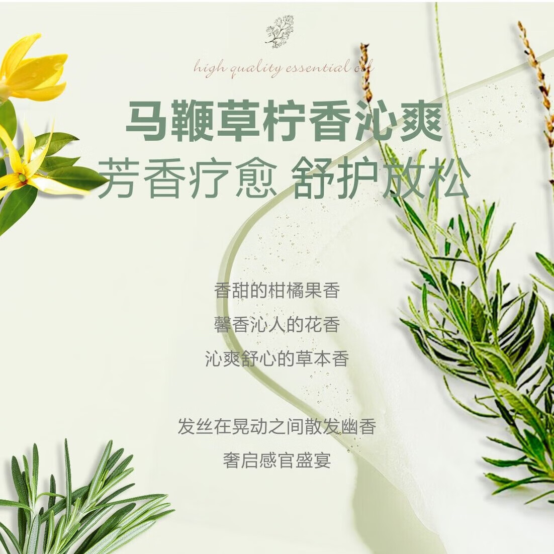 芳香世家香海岸精油洗发乳护发乳 清爽保湿柔顺秀发元旦礼物 草本精油润发乳轻盈护发500ml