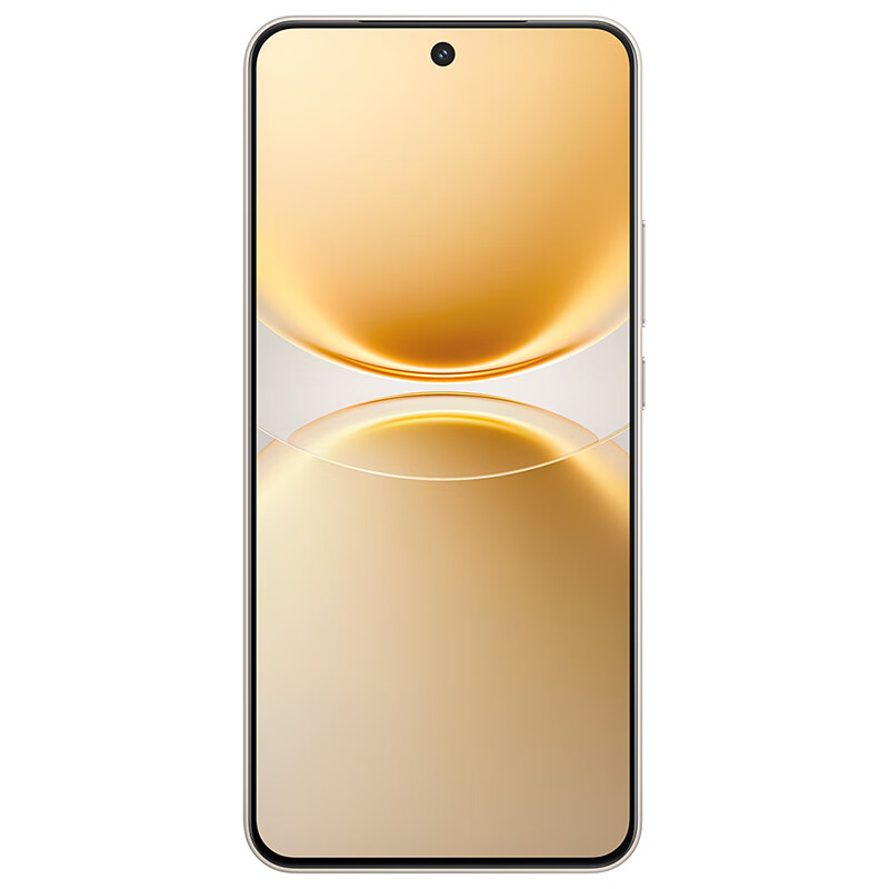 vivo Y500 Pro 12GB+512GB 祥云金 2亿HP5旗舰级主摄 7000mAh蓝海电池 IP68+IP69满级防水 AI影像手机