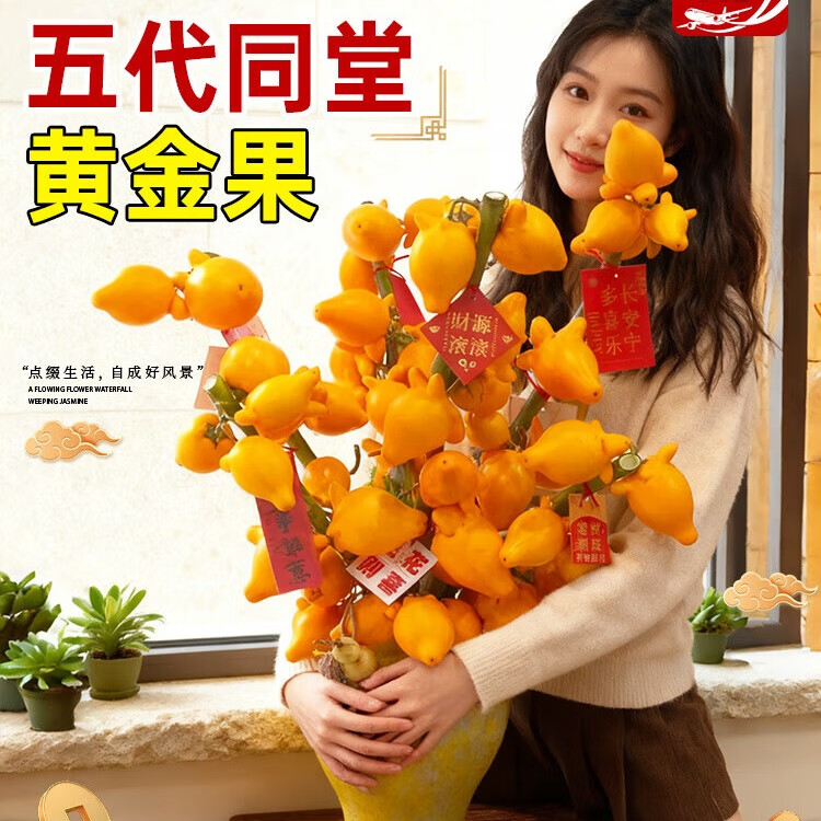 临雅五代果鲜切五代同堂黄金果鲜花鲜切枝水培家用插花招财旺宅真花卉 五代果[60-80cm]1枝8个果送挂件