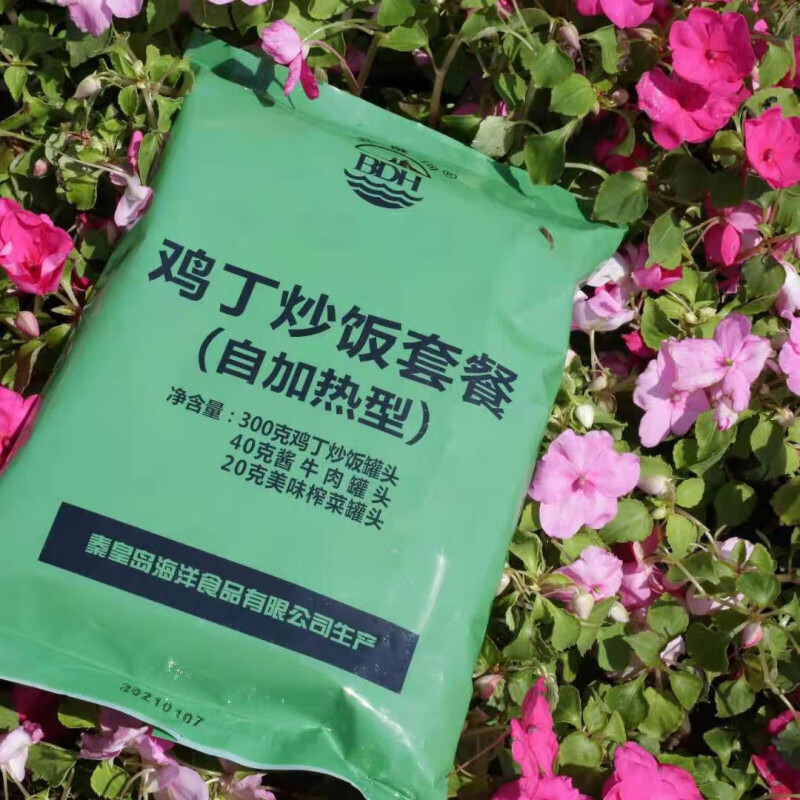 北戴河(BDH)自熱米飯北戴河自熱食品米飯速食自熱米飯戶(hù)外即食方便米飯 醬油炒飯1袋