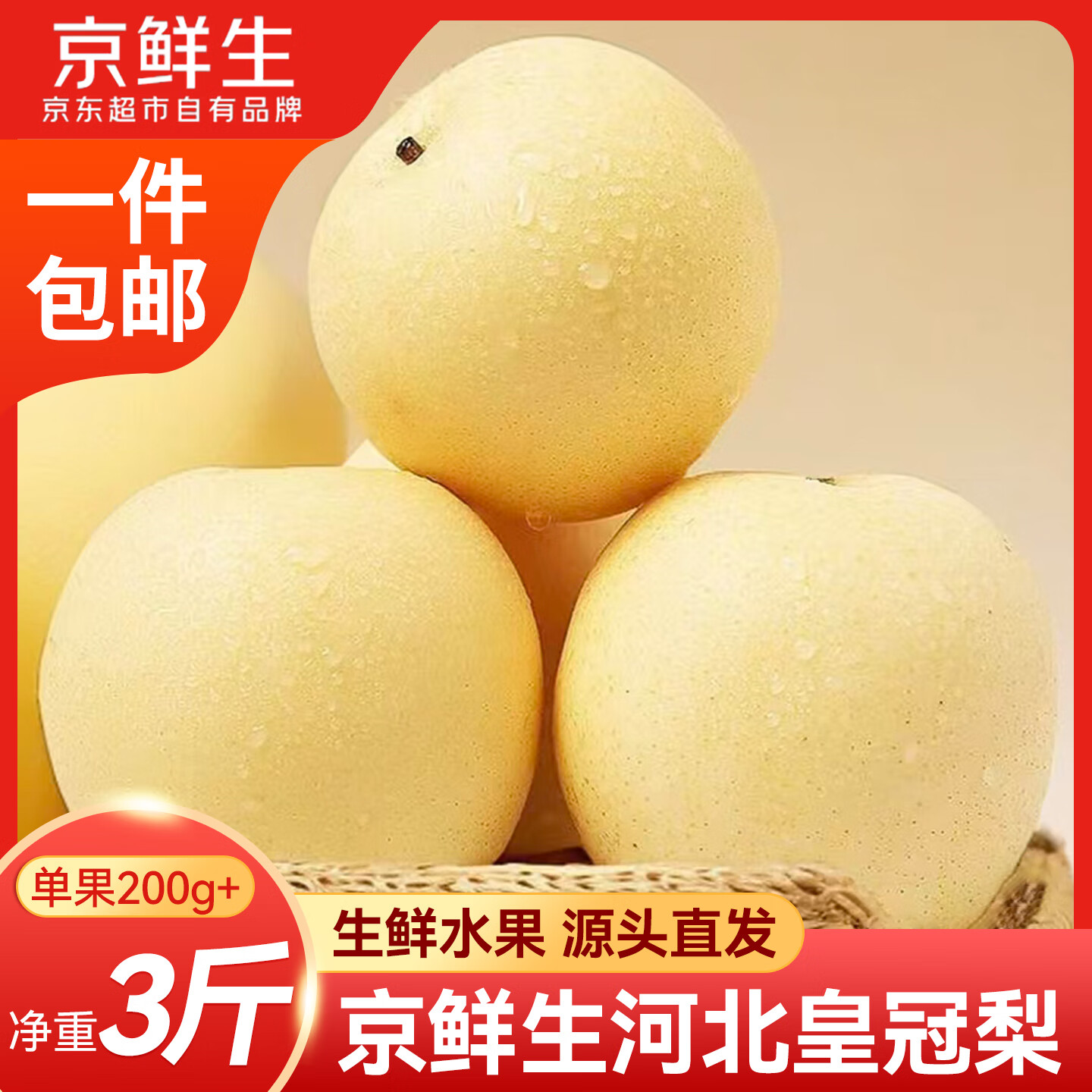 京鲜生河北皇冠梨 净重3斤 单果200g+ 生鲜水果 源头直发