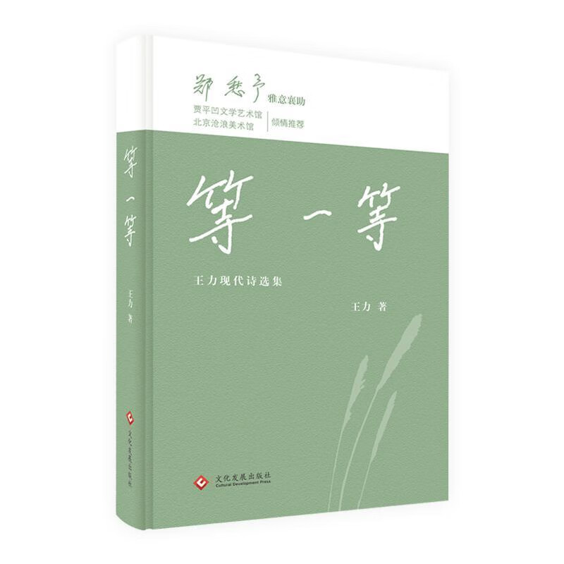等一等王力诗歌词曲文化发展出版社新华书店正版