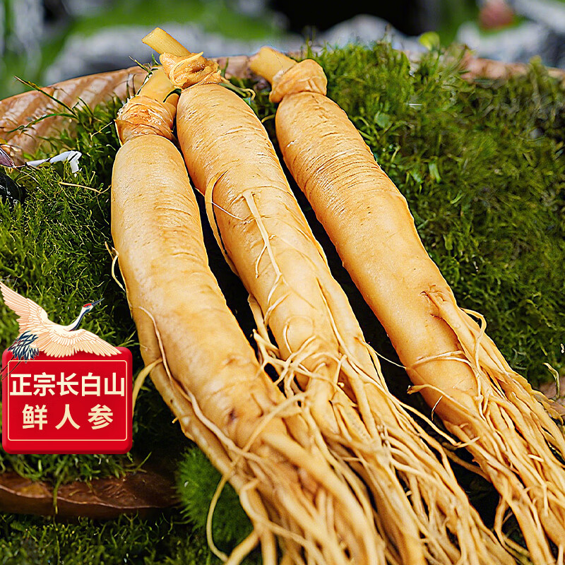 长白山人参鲜人参泡酒材料5年鲜人参泡酒煲汤保鲜参送长辈礼品3支装