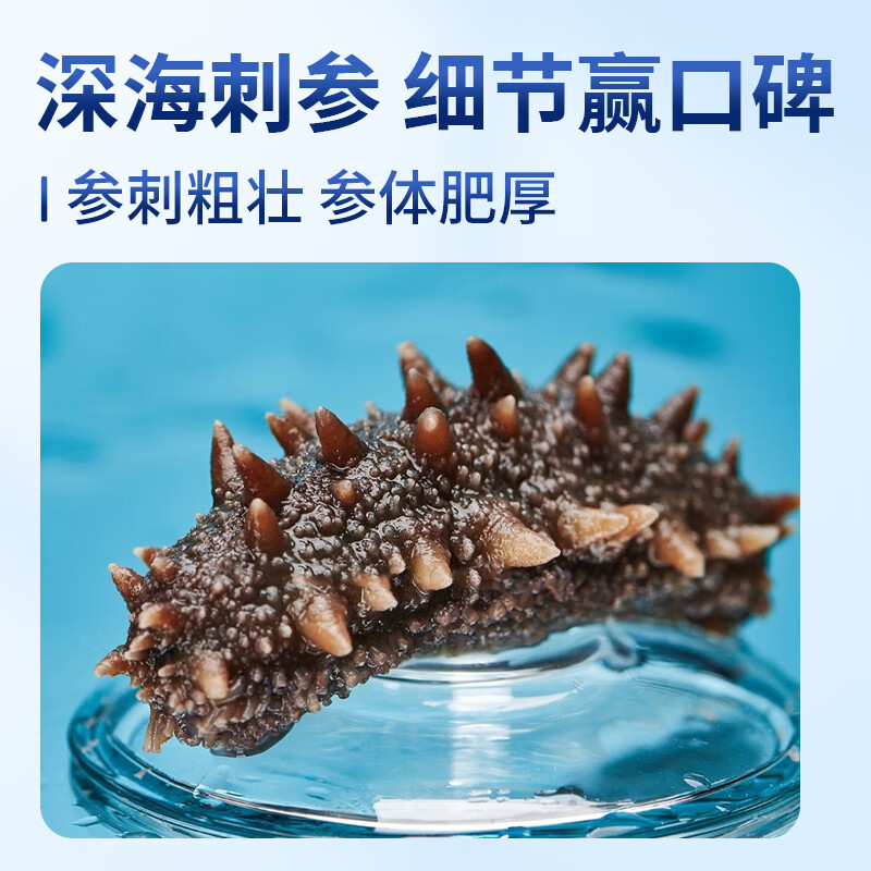 参裕岛7星级 大连即食海参鲜活鲜食海参野生辽参海生刺参孕妇 独立包装 3斤即食海参 30-36头  实惠装