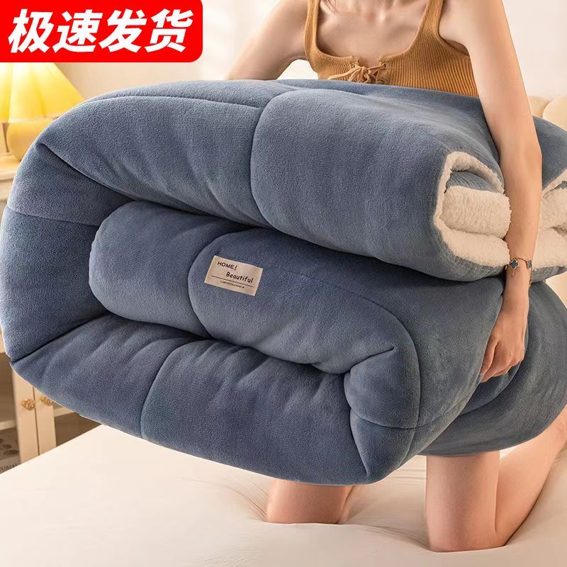 羊羔绒被子冬被10斤棉被加厚保暖秋冬季宿舍单人学生冬天双面被芯 【双面绒】-宾利蓝 110*150cm【约2斤】