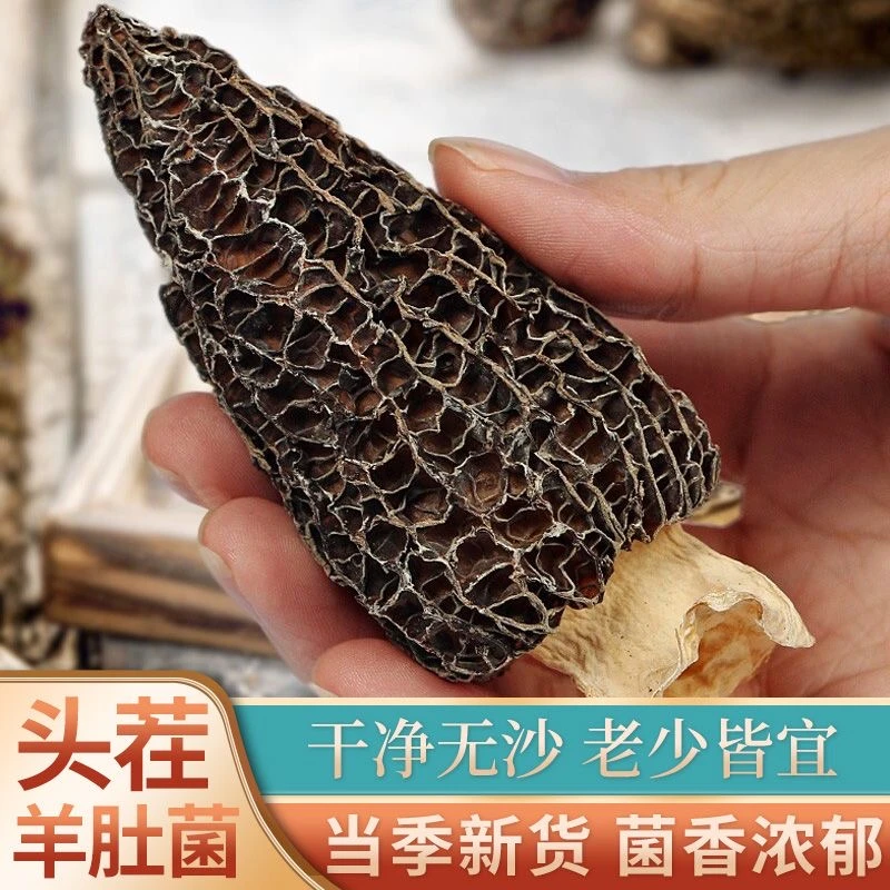 【农户直销-拍一发4袋】高山头茬羊肚菌干货新鲜美味菌菇煲汤CW 【产地直销-拍一发4袋】当季头茬羊肚菌