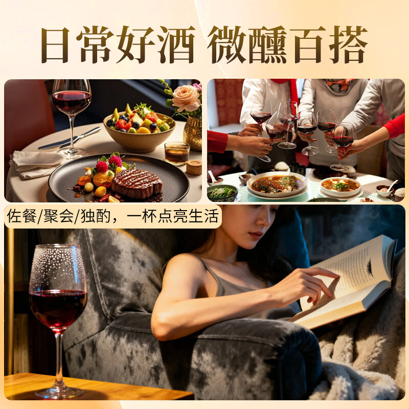 马丁巴克法国红酒整箱塞纳赤霞珠进口干红葡萄酒14度送礼 2支酒+酒具三件套