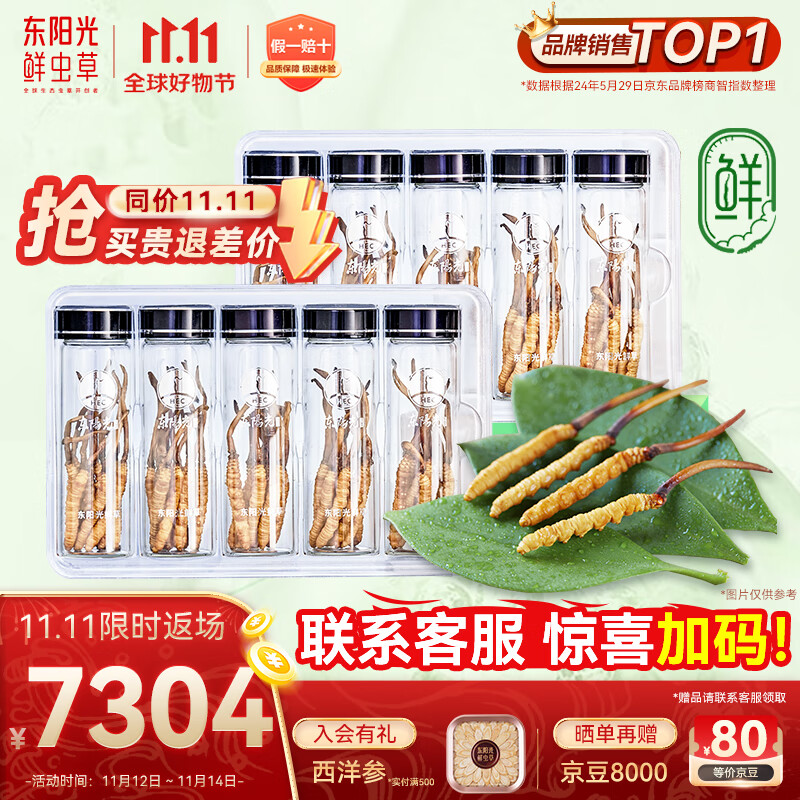 东阳光鲜虫草0.4-0.6g/根100根新鲜冬虫夏草补品送长辈老人源头直发包邮