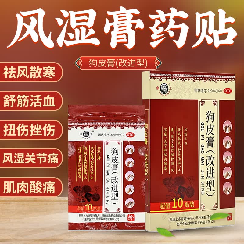象王 狗皮膏(改进型)10贴风湿关节痛运动扭挫伤腰腿酸痛肌肉酸痛止痛